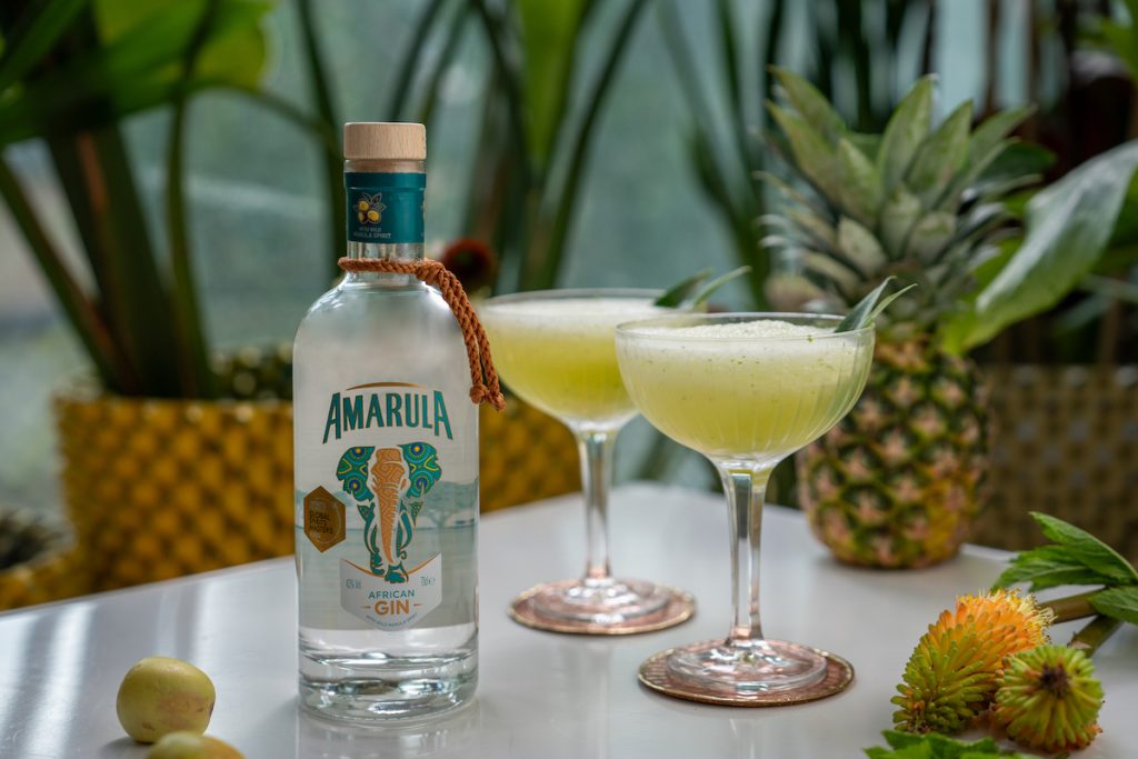 Amarula African Gin – Egzotična kapljica Afrike u tvojoj čaši